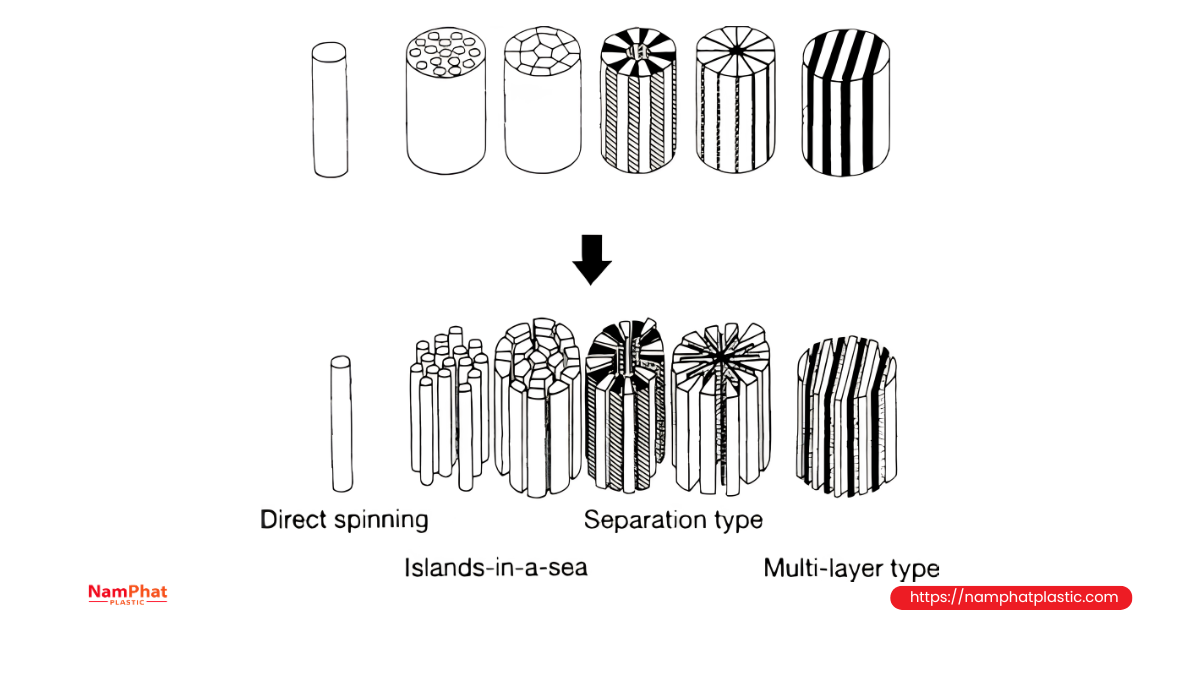 Cấu trúc chỉ filament Cấu trúc chỉ filament