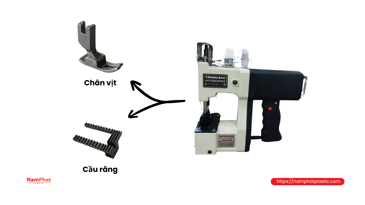 Chân vịt và cầu răng máy may bao Chân vịt và cầu răng máy may bao