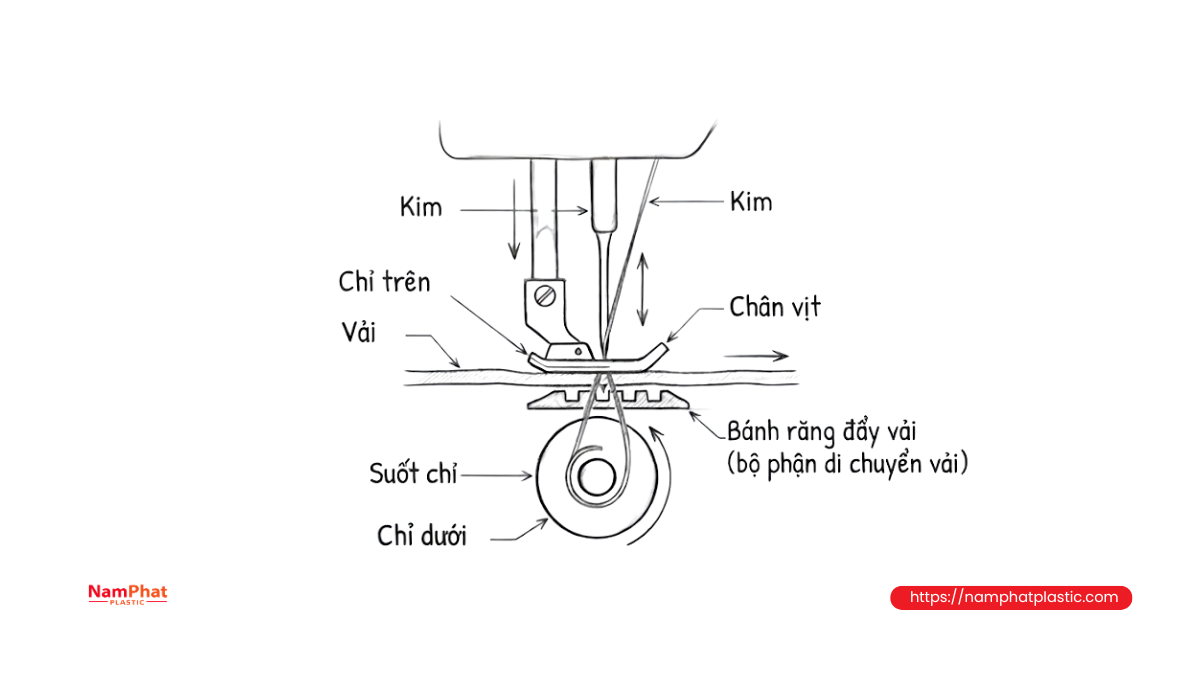 Đồng bộ chuyển động giữa răng cưa và kim máy may bao